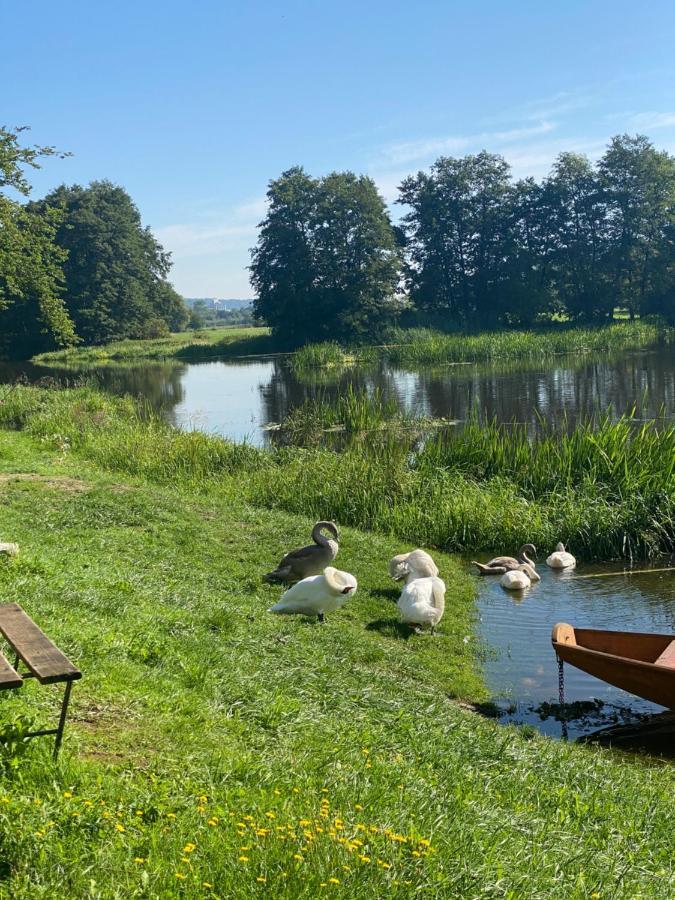 Idyllische Ferienwohnungen In Mossendorf Blick Zur Naab Burglengenfeld Zewnętrze zdjęcie