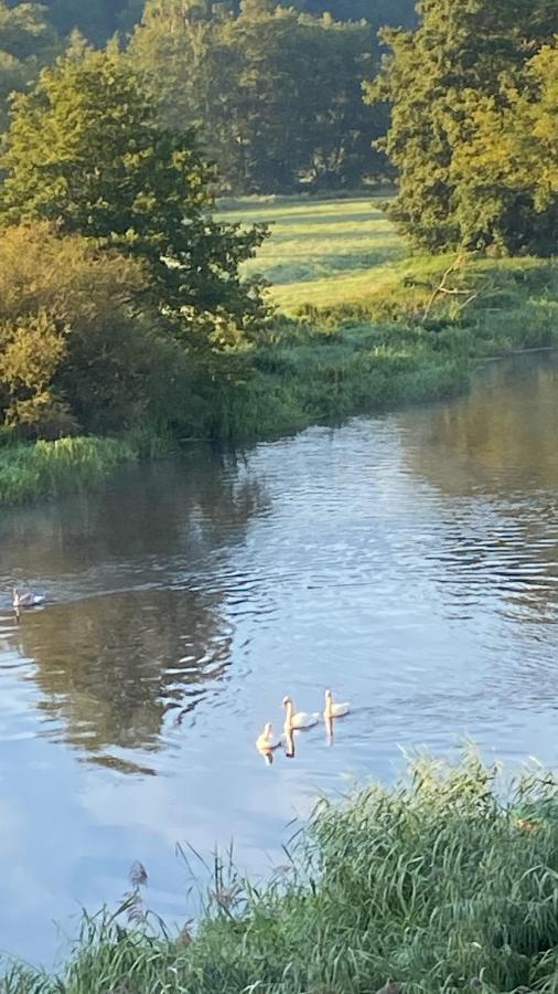 Idyllische Ferienwohnungen In Mossendorf Blick Zur Naab Burglengenfeld Zewnętrze zdjęcie